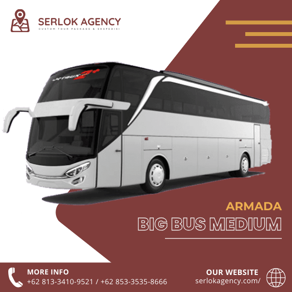 serlok-agecy-bus